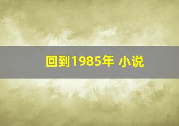 回到1985年 小说